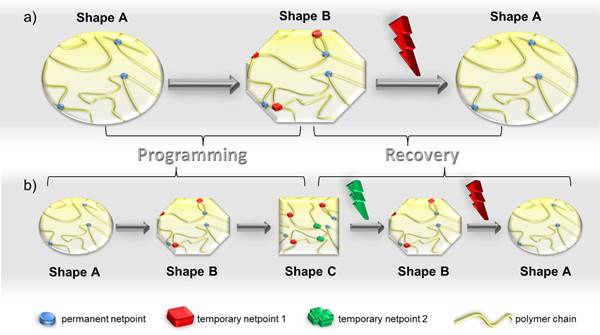 Monils - 默尼離子液體